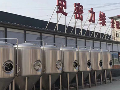 普宁精酿啤酒设备厂—如何判断精酿啤酒设备的密封件需要更换？